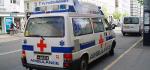 Duński ambulans
