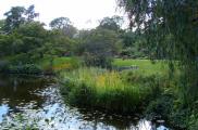 Ogród Botaniczny w Kopenhadze