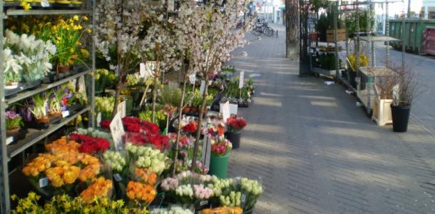 Kwiaciarnia w Odense